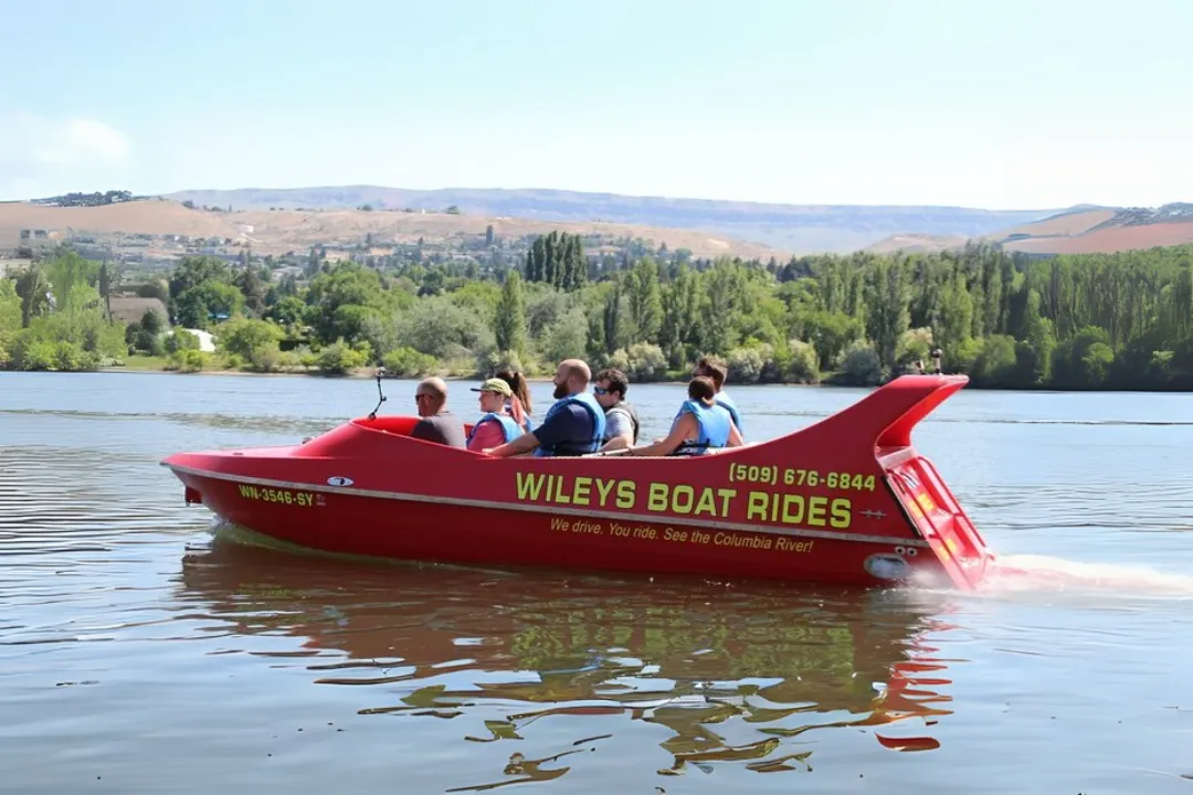 Cruise Experience Details