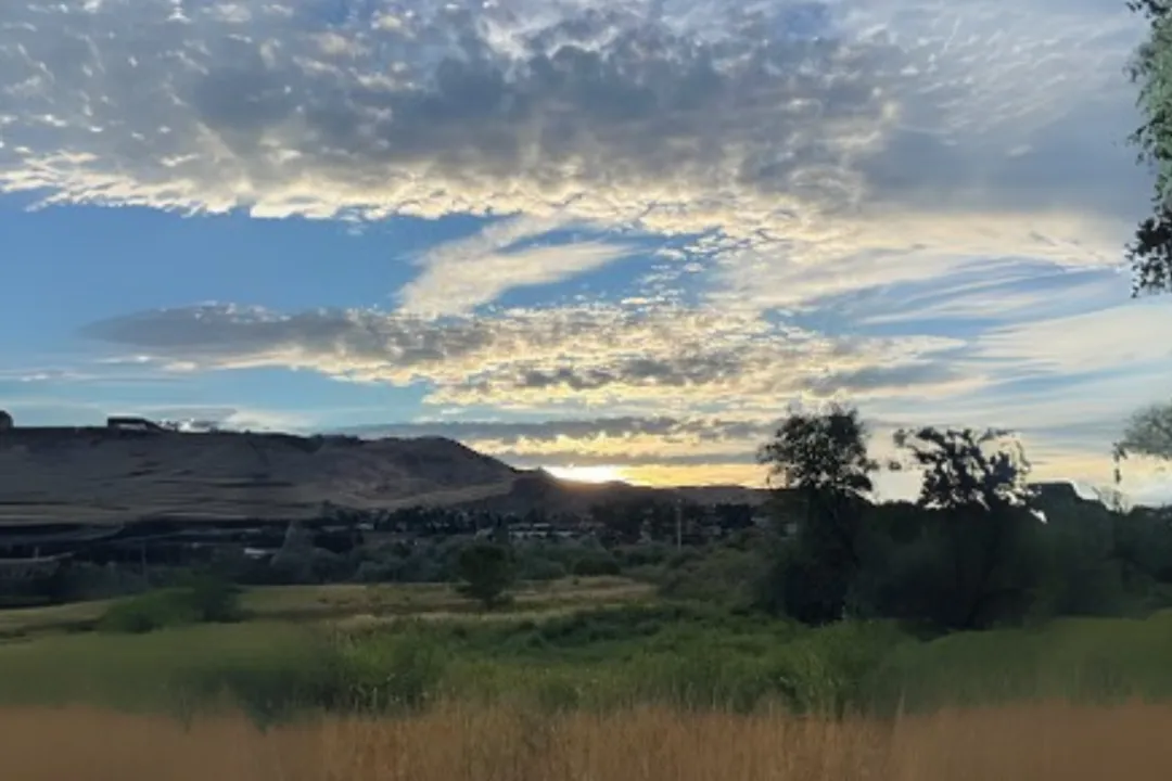 Horan Natural Area’s wetlands
