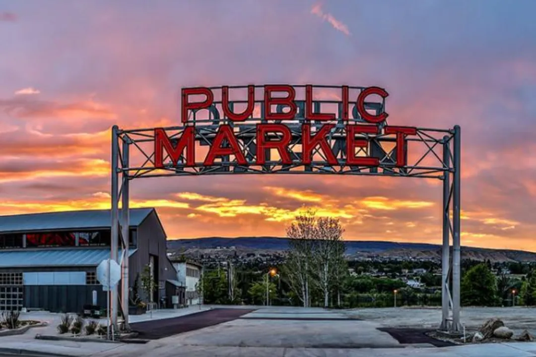 Insider Tips to Pybus Public Market