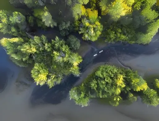 Learning & Discovery