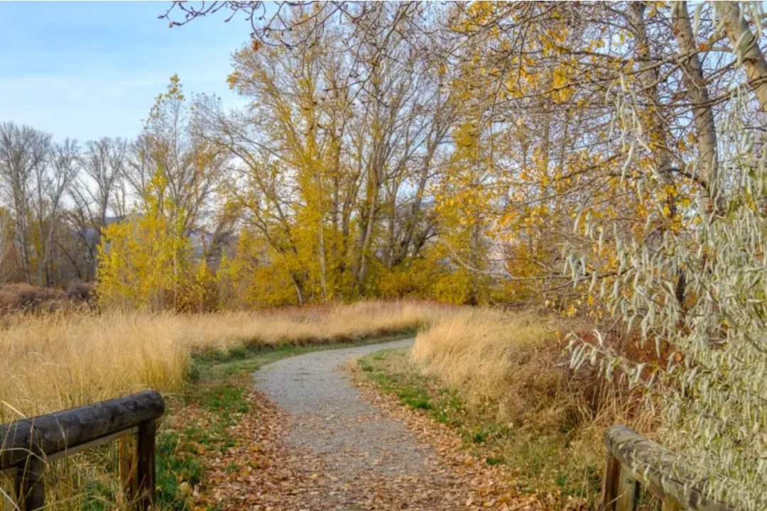 Morning view from Horan Natural Area Wenatchee