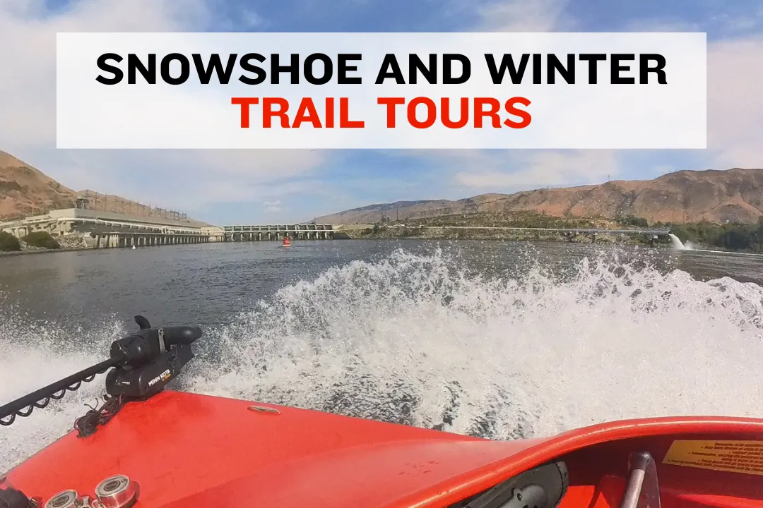 Snowshoe and Winter Trail Tours