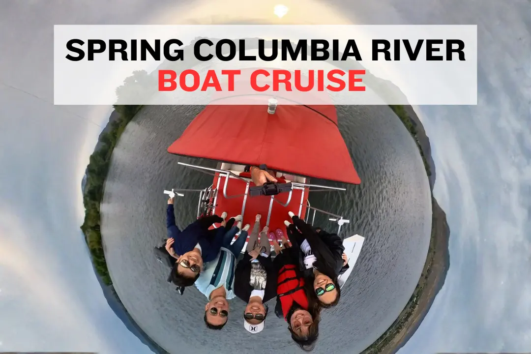 Jet boat cruising the Columbia River with green hills and snow-capped mountains in spring
