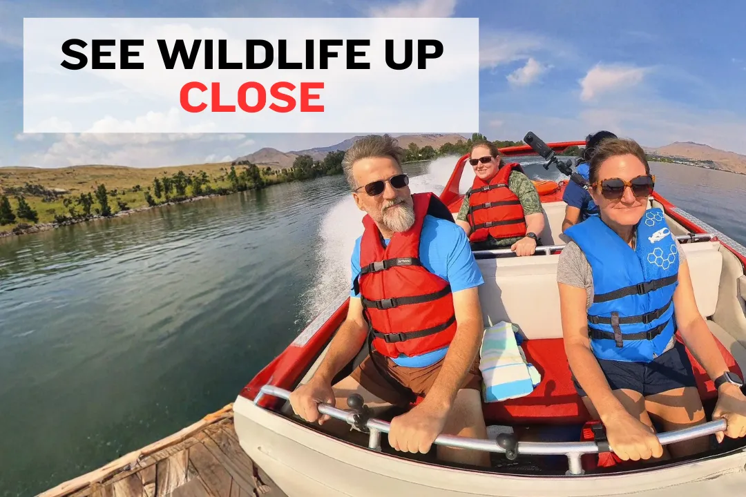 river wildlife viewing in April with birds and nature along the Columbia River