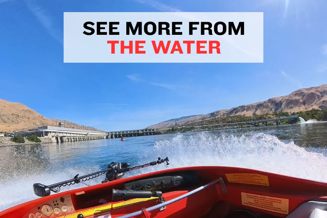 Columbia River boat ride giving closer wildlife views compared to shoreline observation