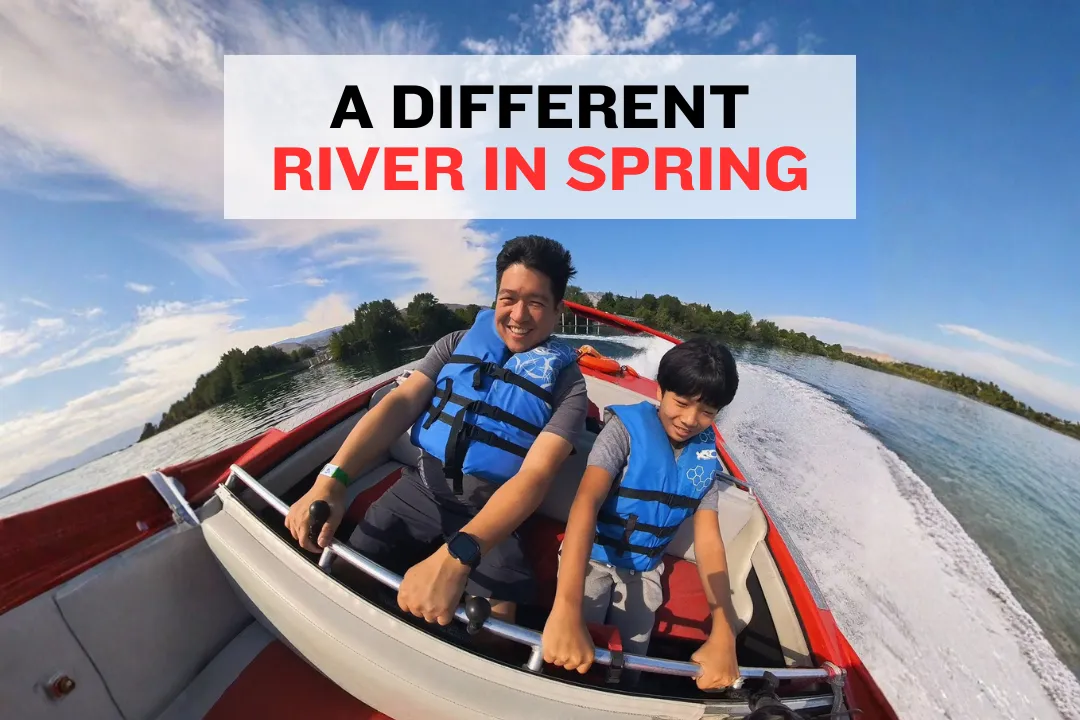 Columbia River spring conditions with clear water reflections and active wildlife
